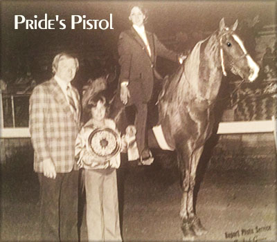 McDodi Farms - Tennessee Walking Horse, PISTOL'S LUCKY LACY CC #898782